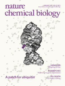 Thermal bioswitches for remote control of microbes in Chemical Biology – ShapiroLab